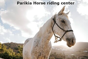 Paros Sunrise Horseback Riding to the Beach No Swimming