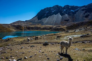 Hike to the 7 Ausangate lagoons 1 day