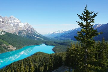 Lake Louise Moraine Lake Peyto Lake Icefield Parkway Day Trip