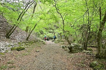 Hiking Adventures in Tokyo with English Speaking Guide