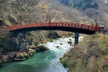 Nikko Private Tour with Return by Bullet Train