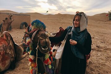 Bedouin Night with Camel Ride, Dinner, and Transfer