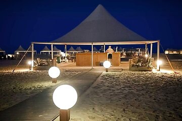 Doha: Full-Day Desert safari With BBQ Dinner and Camp Activities 