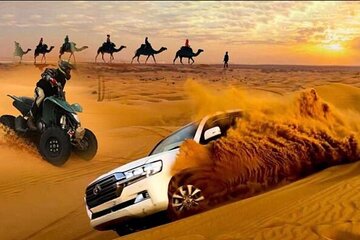 Doha : Quad Bike Desert Safari With Sandboarding & camel ride