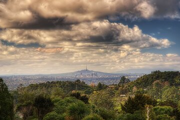 Full Day Tour Ultimate Auckland Experience