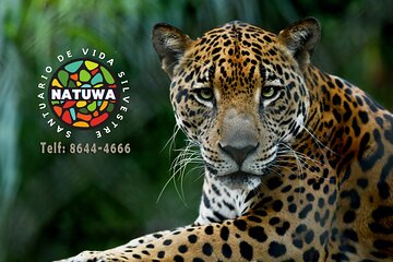 Natuwa Wildlife and Conservation Sanctuary