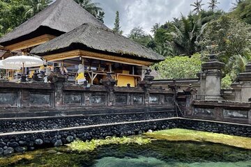 All Inclusive Ubud Cultural and Natural Highlights Tour