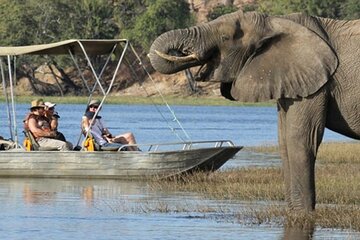 From Victoria Falls Chobe National Park Day Trip