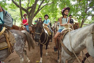 Experience 3 in 1 - Horse Riding, Zipline & ATV Shared