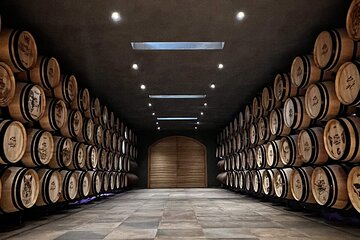Geneva: Wine Tasting, Aperitif and Castle By E-bike