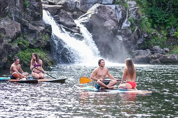 Umauma's Quick Dip Private Waterfall Swim