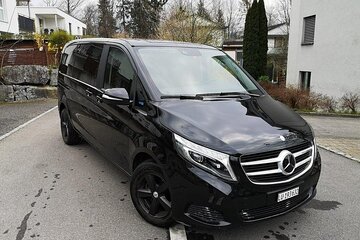 Rhine Falls Private Car Tour Zurich to Neuhausen