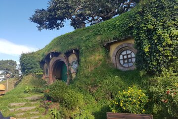 Hobbiton Afternoon Tour in Luxury Minibus from Auckland