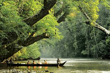 2D1N Taman Negara Rainforest Tour and Boat Ride