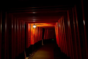 Kyoto Night Walk in Fushimi Inari with 4 Gion Area Highlights