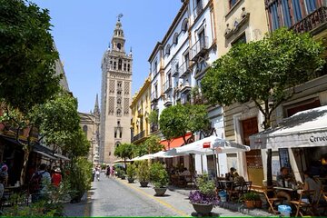 Guided Seville Sightseeing and Food Tour with Rooftop Bar Visit