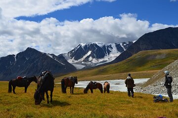  Private Horse Trekking in Mongolia Tour