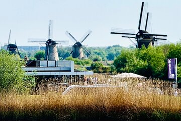 Private tours to Kinderdijk, Delft, The Hague from Amsterdam 8h