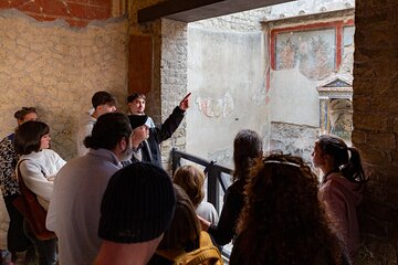 Herculaneum Guided Group Tour from Naples