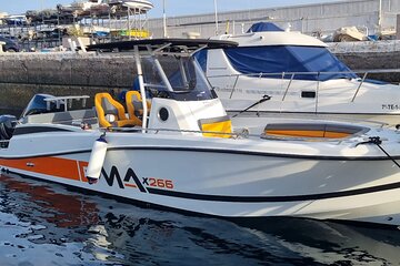 Boat Tour in Tenerife South