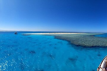 Full day Hamata Island Snorkeling Trip & Lunch from Marsa Alam