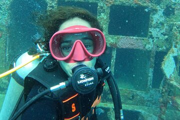 A Recreational Diving Experience