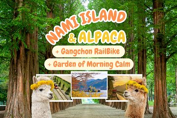 Alpaca World Tour with Nami Island & opt Railbike or Garden/Park
