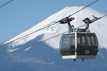 Hakone Owaku-dani Valley Private Bus Tour