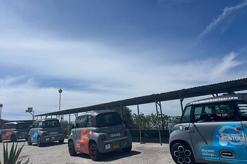 Gastronomic Tour in Montes de Málaga: Explore by Electric Car