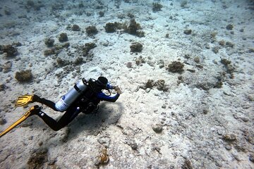 Adventure Red Sea Diving in Hurghada
