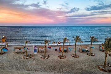 Private Abu Dabbab Turtle Snorkeling with Transfers - Hurghada