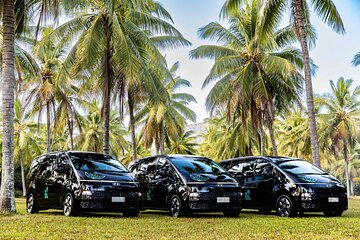 Daintree Eco Lodge to Cairns ONE WAY Private Transfer 6 pax