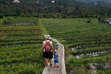 Sidemen Trekking Through Rice Terraces and Villages