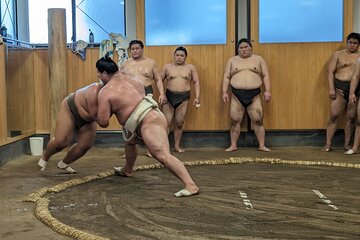 Sumo show and Chanko lunch