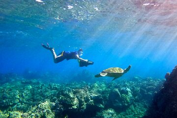 Lahaina Small Group Snorkeling Adventure