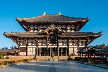 Nara Afternoon Tour from Kyoto