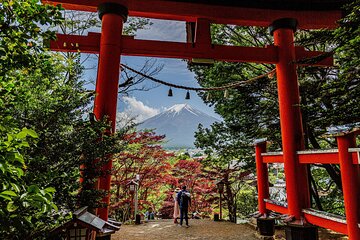 Mount Fuji Lake Kawaguchiko Instagram tour with Lunch option 