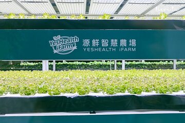  Full Day Tour Smart Agriculture Discovery and Daxi Journey