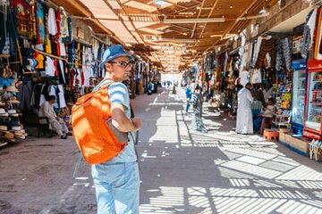 Private East Bank Luxor Tour with Expert Guide With An AC Car