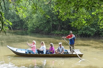Small-Group Tour to Can Gio Vam Sat Mangrove Forest