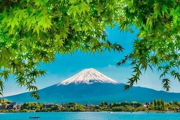 Peaks & Peace: Mt. Fuji, Fuji Stupa & Hakone Tour