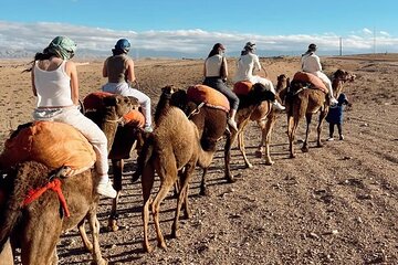 Agafay Half Day Tour Desert Landscape Camel Ride Local Experience