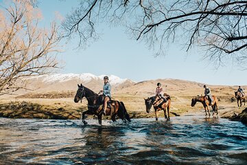 Gold Discovery Trail Horse Trek Cardrona - Most popular!