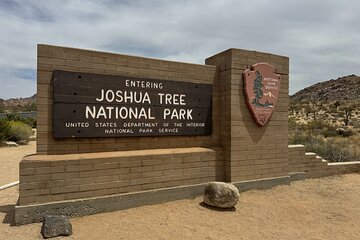 Private 1 Day Tour to Joshua Tree National Park