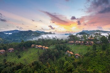 98 Acre Resort Ella