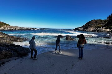 Zapallar Walking and Bird Watching Penguins 