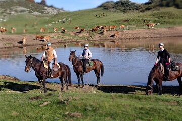 Day out of Rome: Horseback ride with meals & wine included 