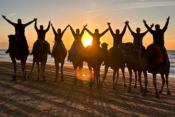 Sunset Camel Ride With Barbecue dinner in Tangier 