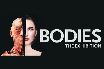 Bodies The Exhibition at the Luxor Hotel and Casino