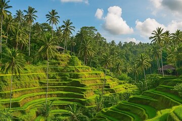 Ubud Cultural and Nature Discovery Full Day Tour